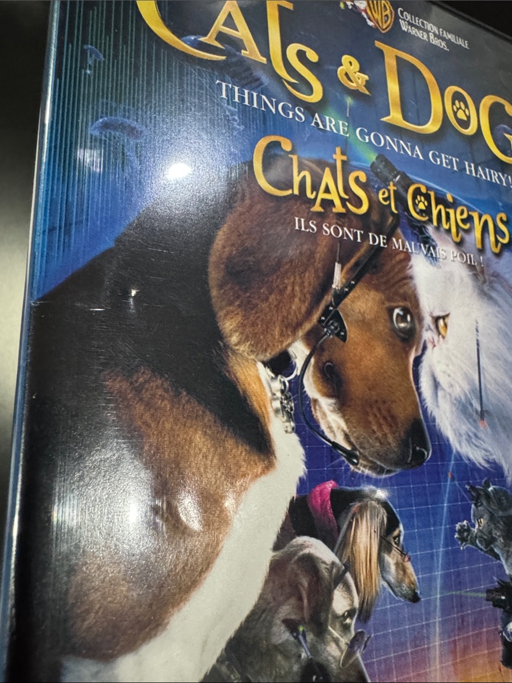 Cats & Dogs - DVD - Picture 6 of 6